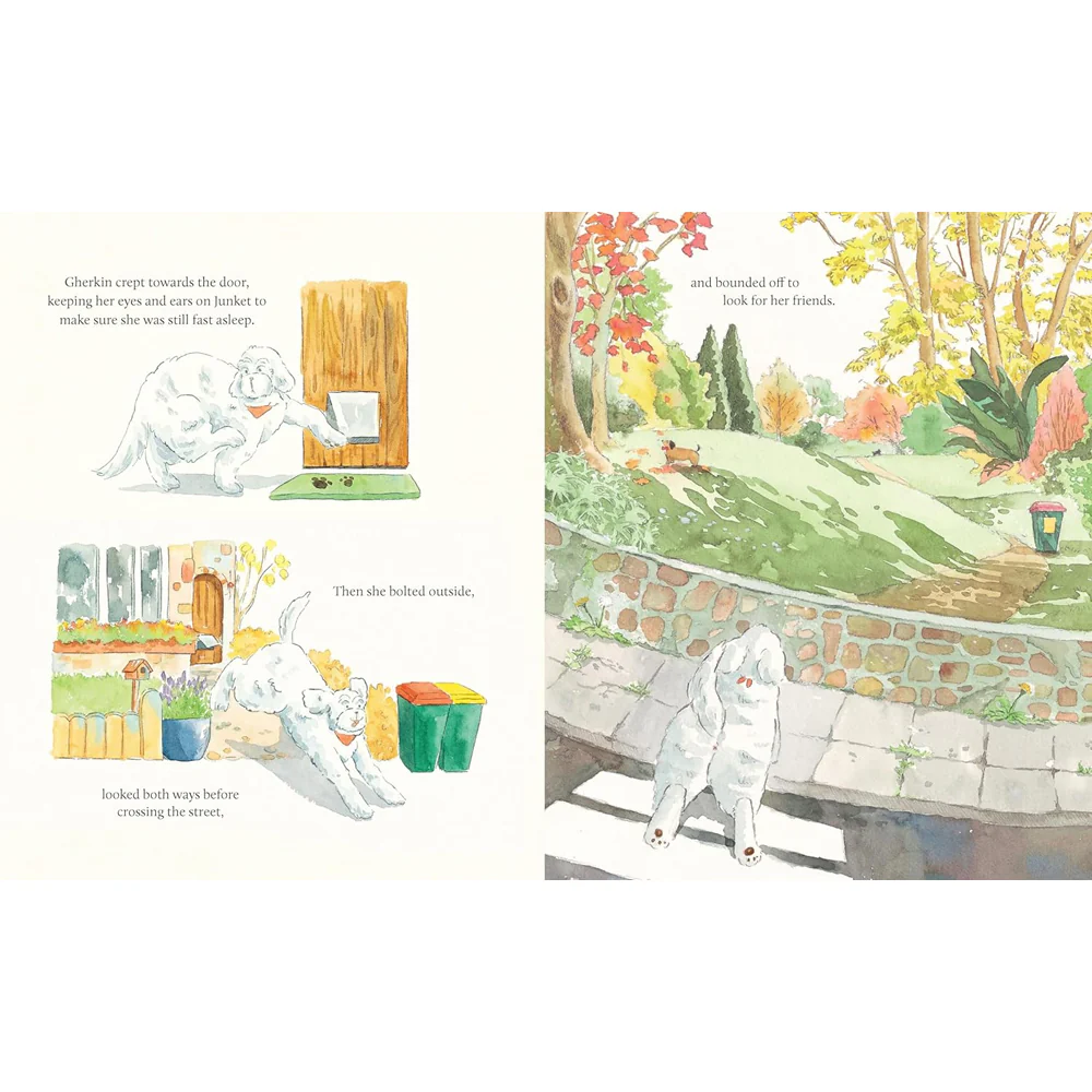 A Present for Junket - Image 3