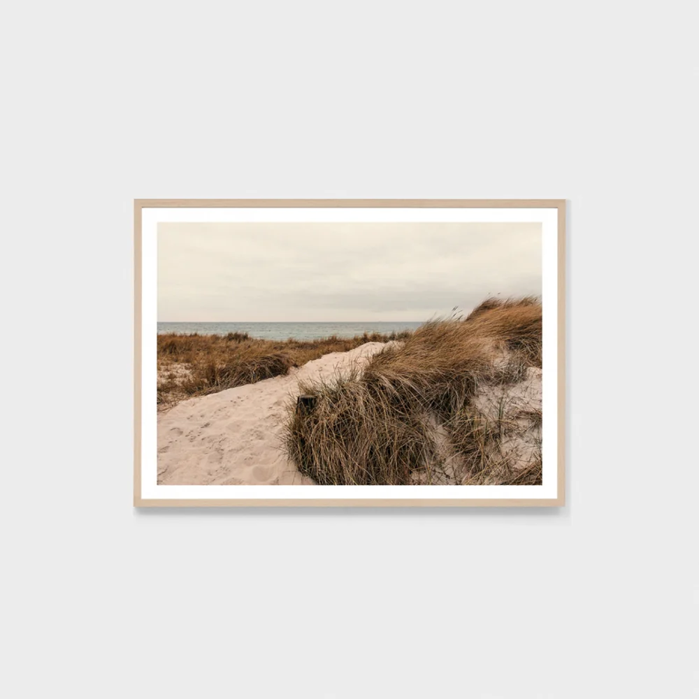 Beach Grass Trail