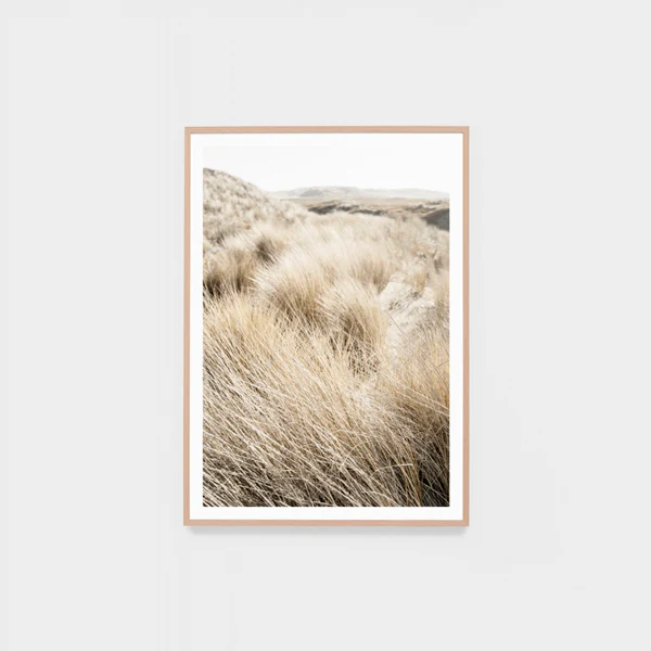 Beachgrass Meadow