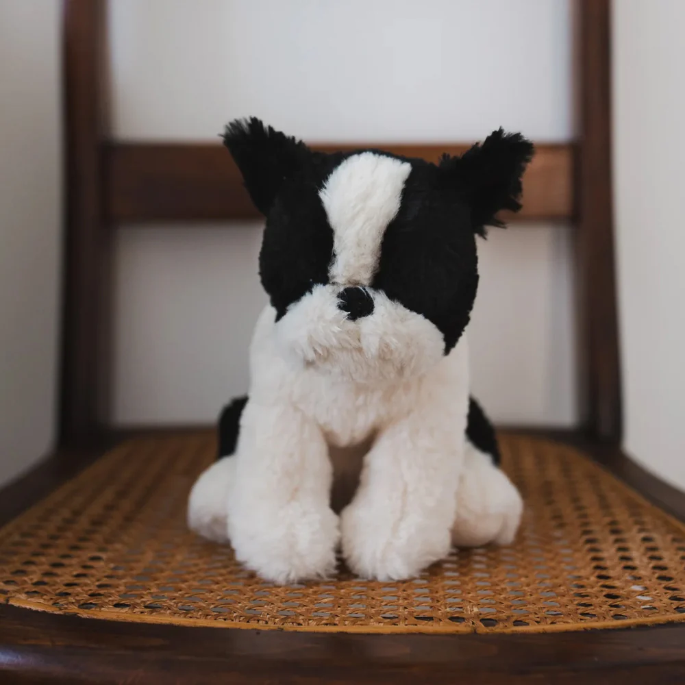 Bruce the Bulldog - Image 2