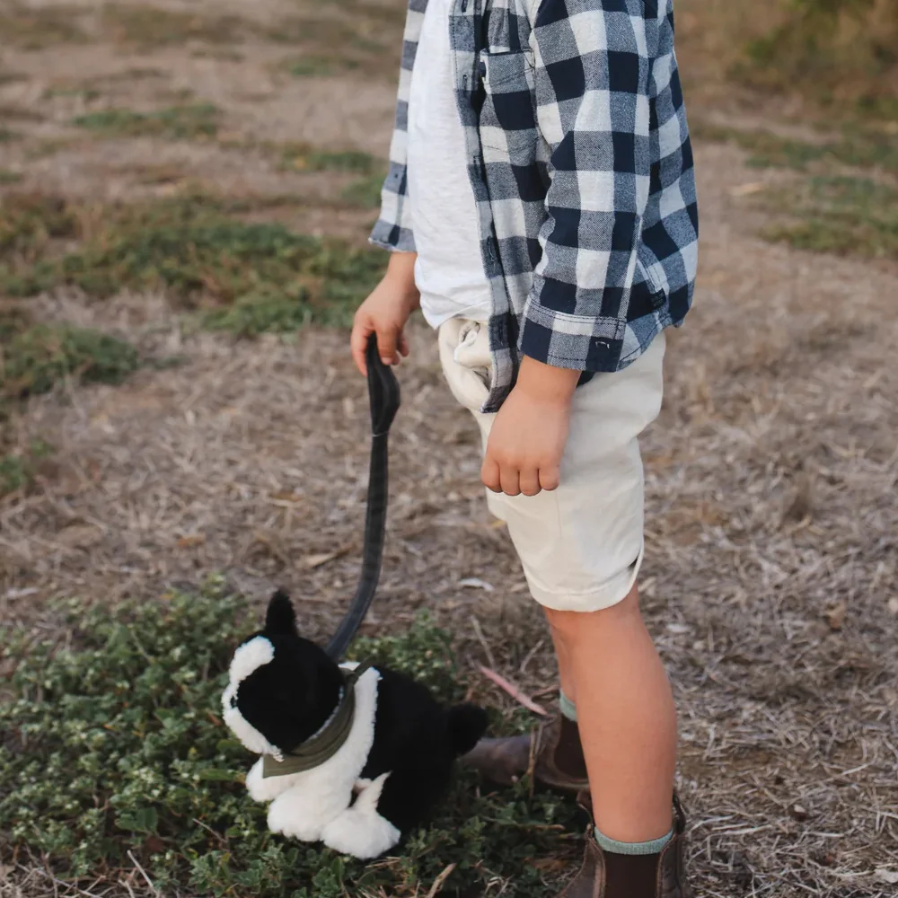 Bruce the Bulldog - Image 4