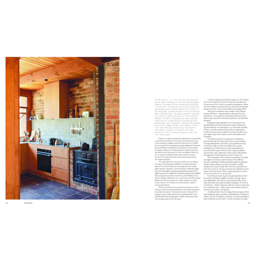 Bush Modern - Image 3