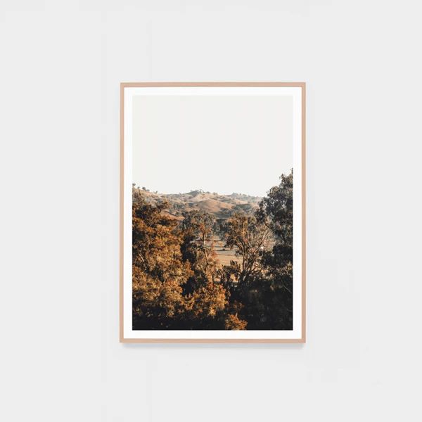 Bushland View