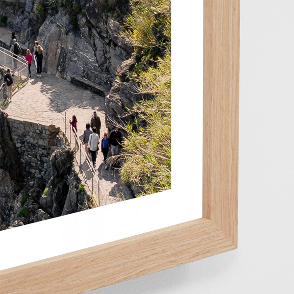Cinque Terre Landscape - Image 2