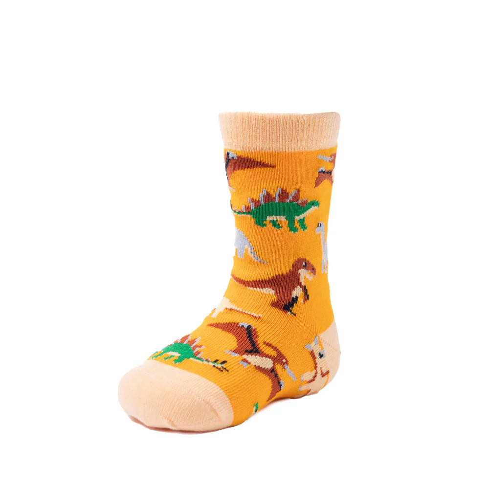 Dinosaur Kids Socks (2-4yrs)