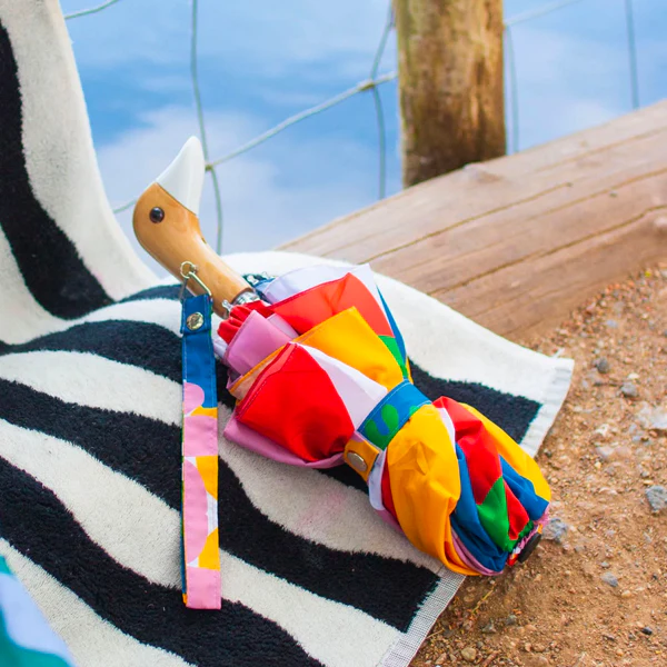 Duck Umbrella - Matisse Print - Image 2