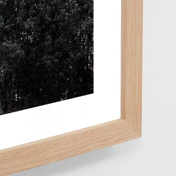 Eucalyptus Trail - Image 2