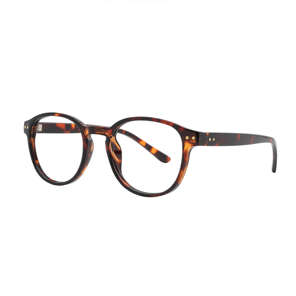 Noah Tortoiseshell Glasses - Image 4